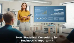 How Statistical Consulting for Business is important?